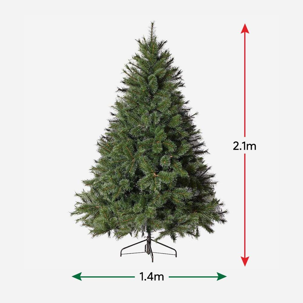 Bottle Brush Snow Tipped Tree 7ft (2.1m)