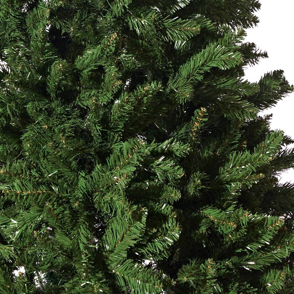 Radiata Pine 6ft (1.8m)