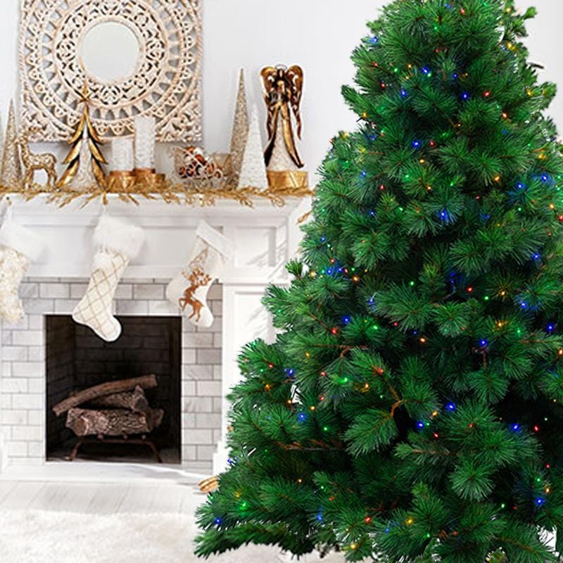 Pre-Lit Natural Royal Pine - Multicolour 7ft (2.1m)