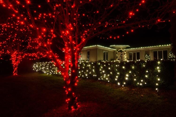 LED Fairy Lights Red (40m)