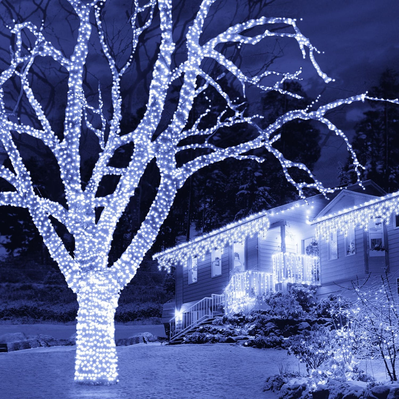 LED Fairy Lights White (40m) – Christmas World